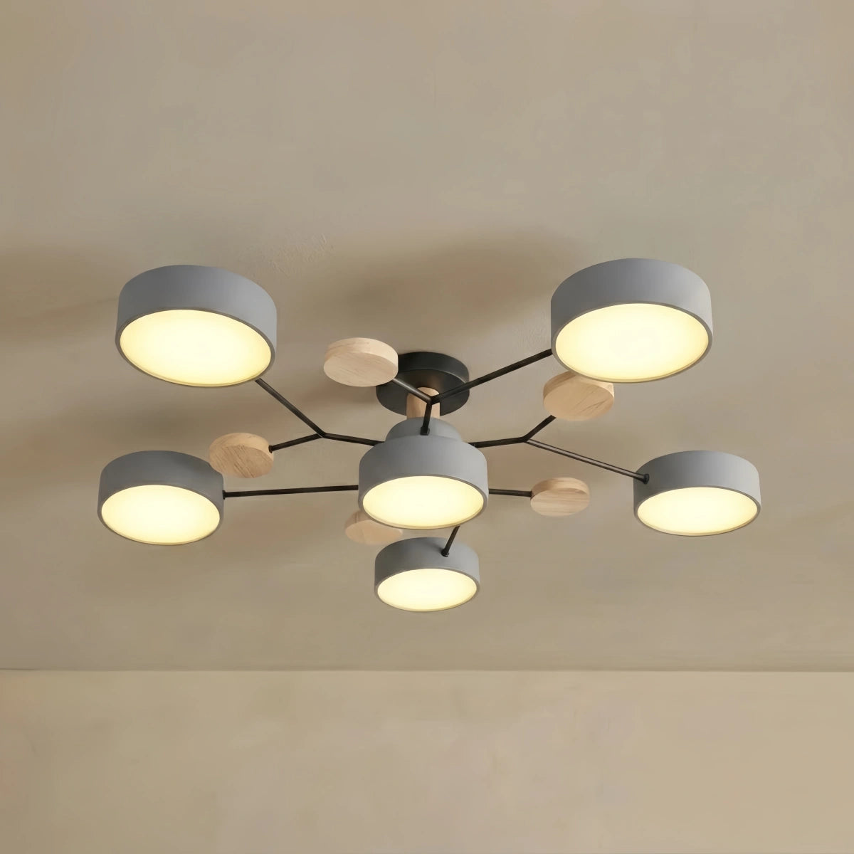 Ceiling Light - Multi-Head for bedroom
Living Room