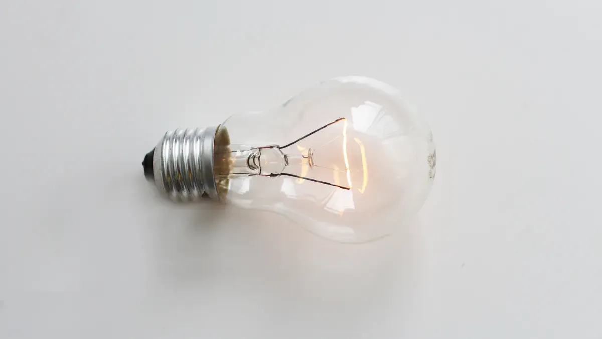 Incandescent vs Fluorescent Users Reveal Their Favorite Choice
