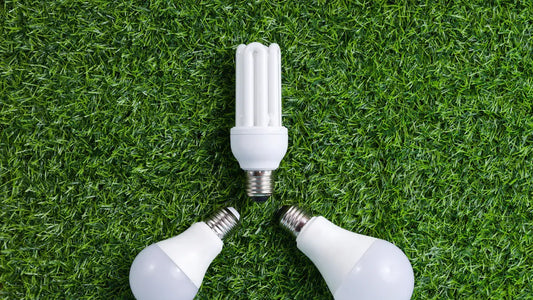Which Is Better LED or Incandescent Bulbs for Your Home