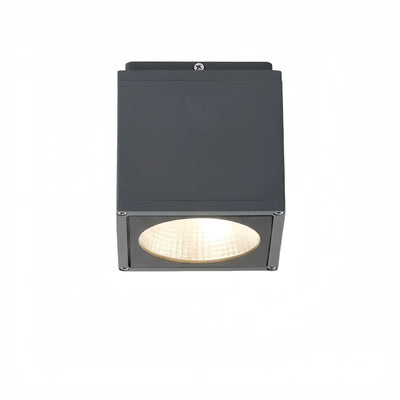 Outdoor_Ceiling_Light