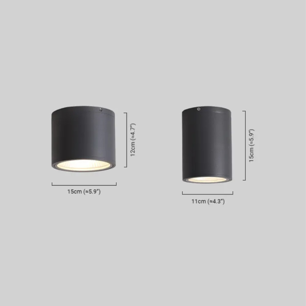 Ceiling Lights 