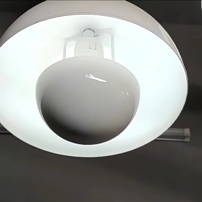 Morandia Art Deco Morandi Dome Pendant Light