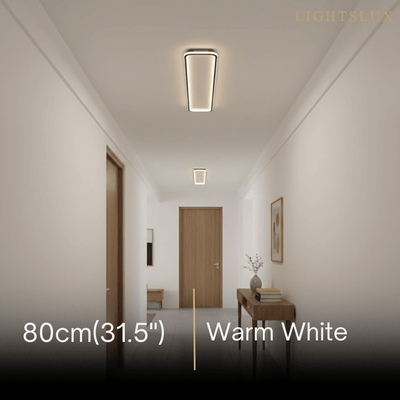 Arcato  Modern LED Ceiling Light – Metal/Silica Gel Fixture for Living Room