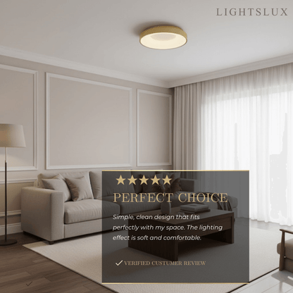 Modern Flush Mount Ceiling Light – Gold/ Black Dimmable LED for Living Room