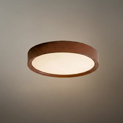 Zenno Modern Flush Mount Ceiling Light