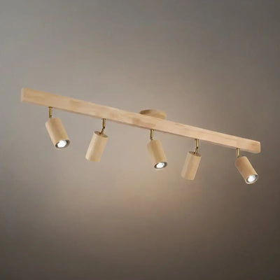 Modern Track Light 