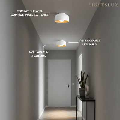 Modern Industrial Sphere Ceiling Light