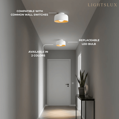 Modern Industrial Sphere Ceiling Light