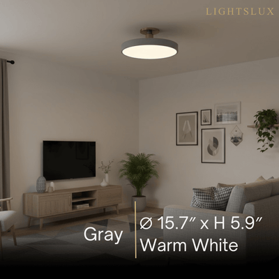 Modern Flush Mount Ceiling Light