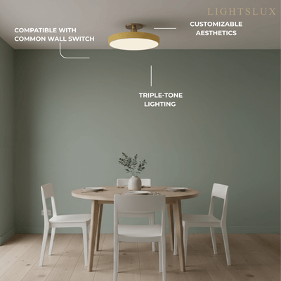 Modern Flush Mount Ceiling Light