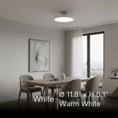 Modern Flush Mount Ceiling Light