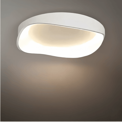 Mount Ceiling Light – Metal /Acrylic for Living Room