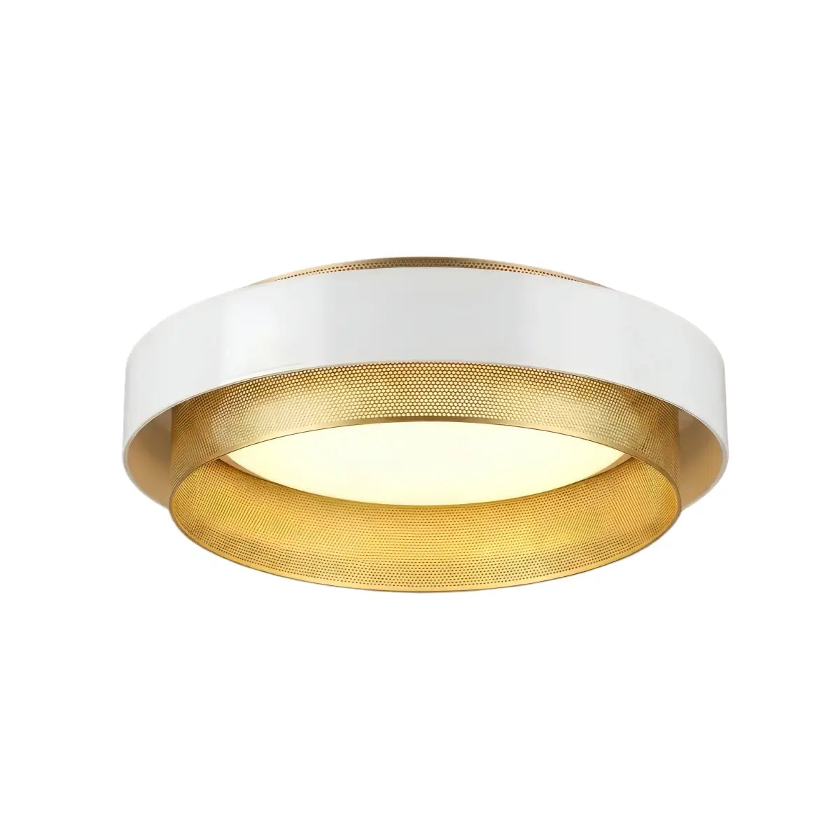 Excelis Modern Ring Ceiling Light