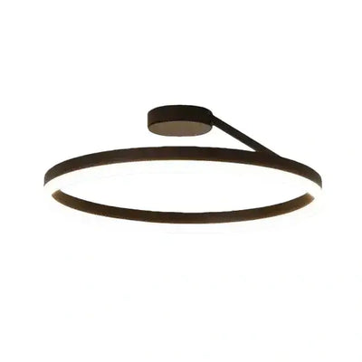 Modern Circular Flush Mount Ceiling Light 