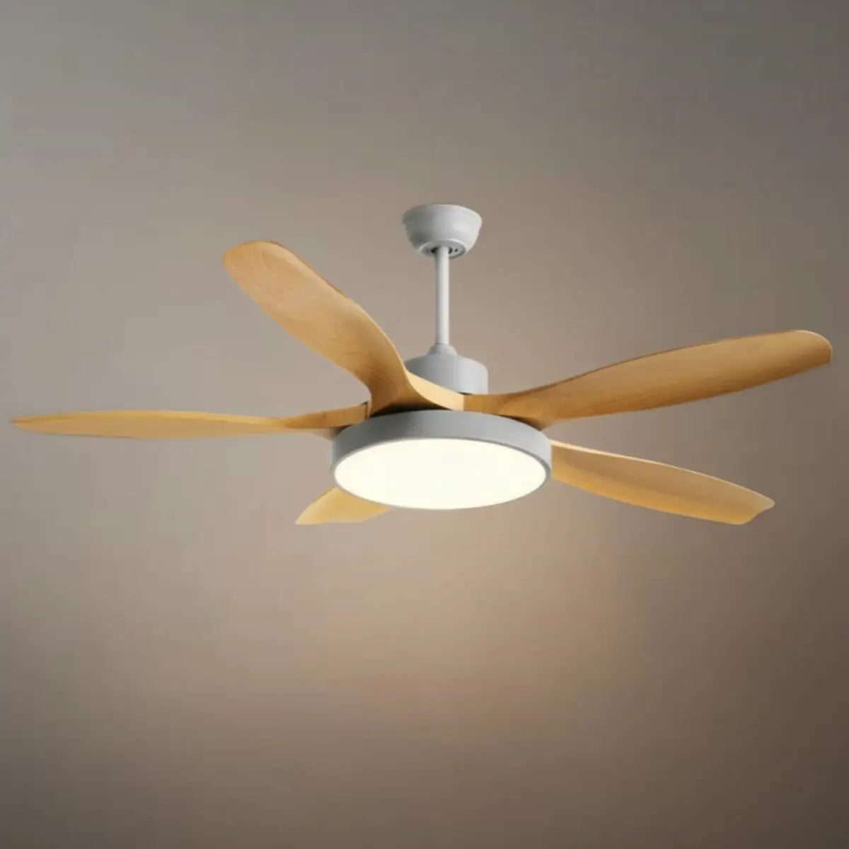 Vivara Scandinavian Large Ceiling Fan Light