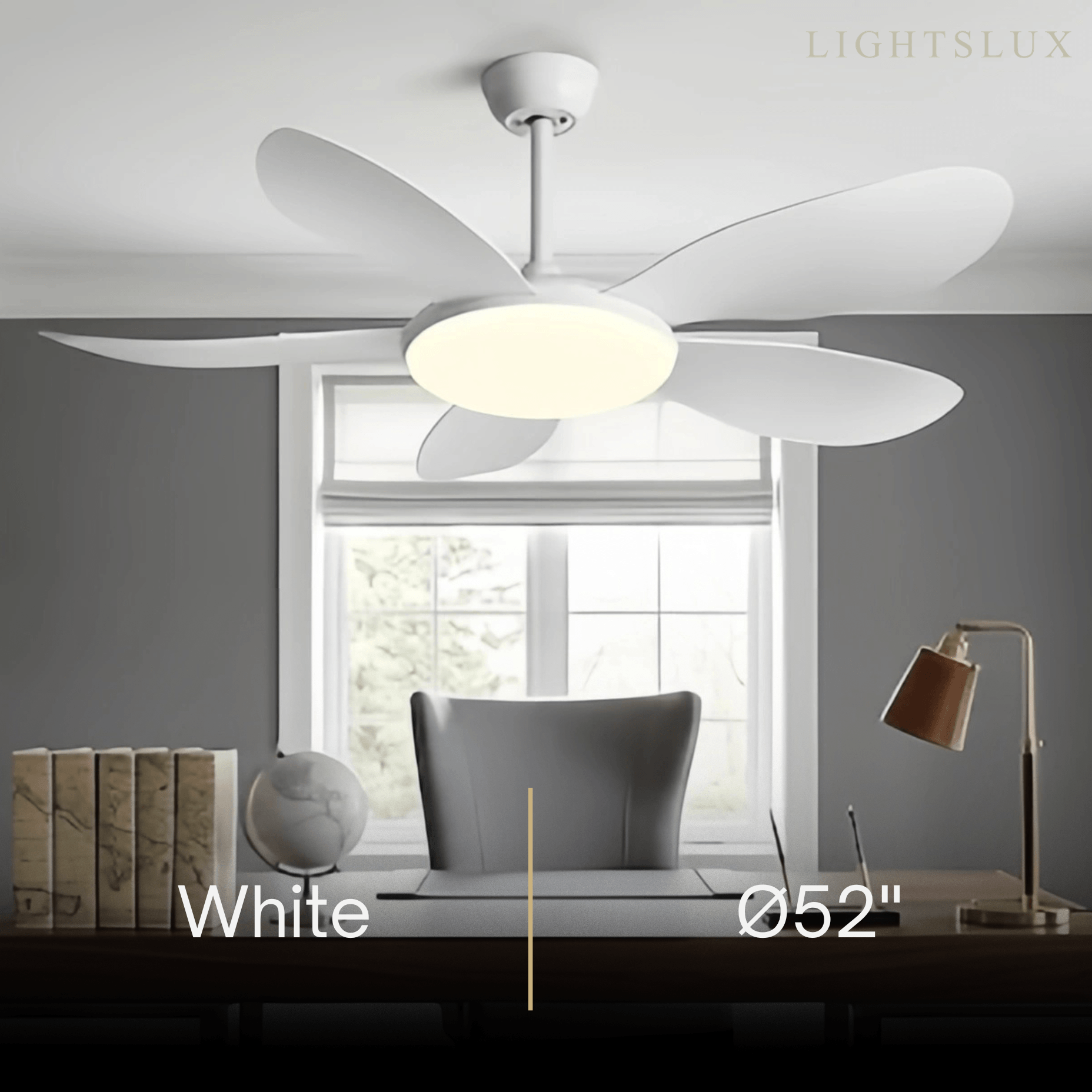 Zenno Modern Ceiling Fan Light 