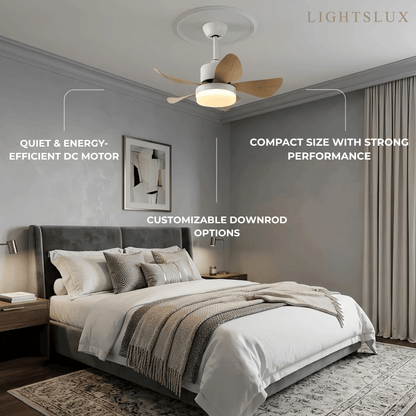 Zenno Minimalist Ceiling Fan Light