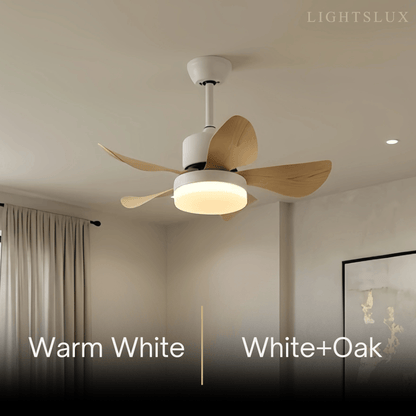 Zenno Minimalist Ceiling Fan Light