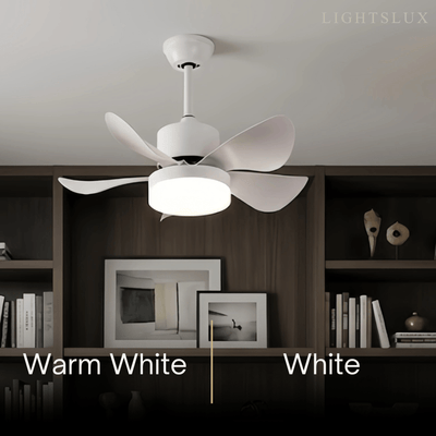Zenno Minimalist Ceiling Fan Light