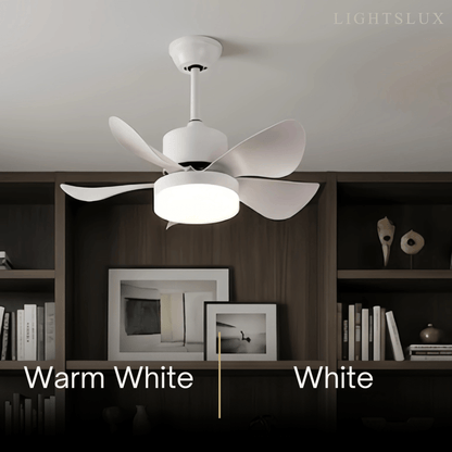 Zenno Minimalist Ceiling Fan Light