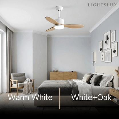 Vivara  Minimalist Ceiling Fan Light